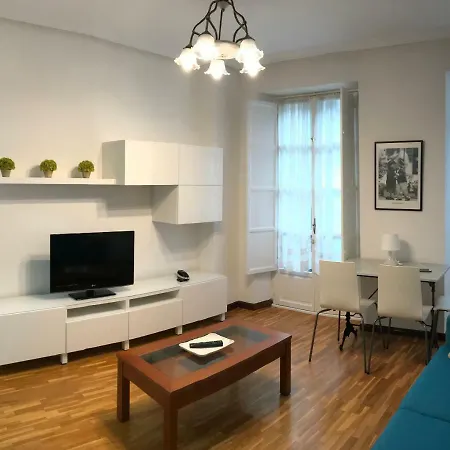 Apartamento Begona 16